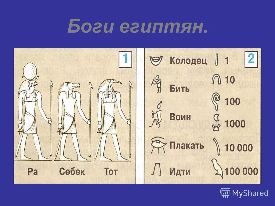 Древний египет боги египта тот. Мир древности далекий и близкий боги. Себек бог египта. Египетский бог амон ра 5 класс. Боги древнего египта 4 класс окружающий мир.