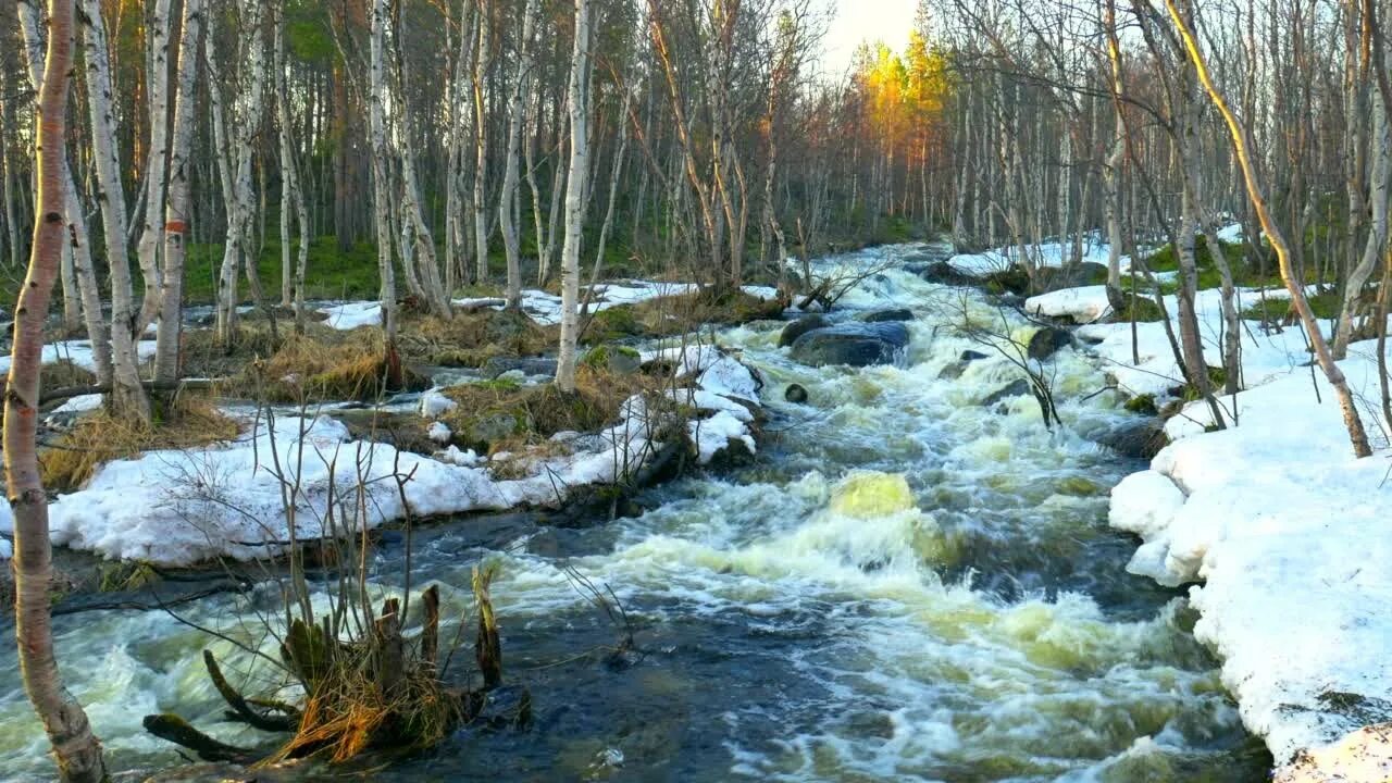 Ручей весело бежал. Б.Щербаков «Журчат ручьи весенние». Ручеек Кольский полуостров. Ручьи весной.