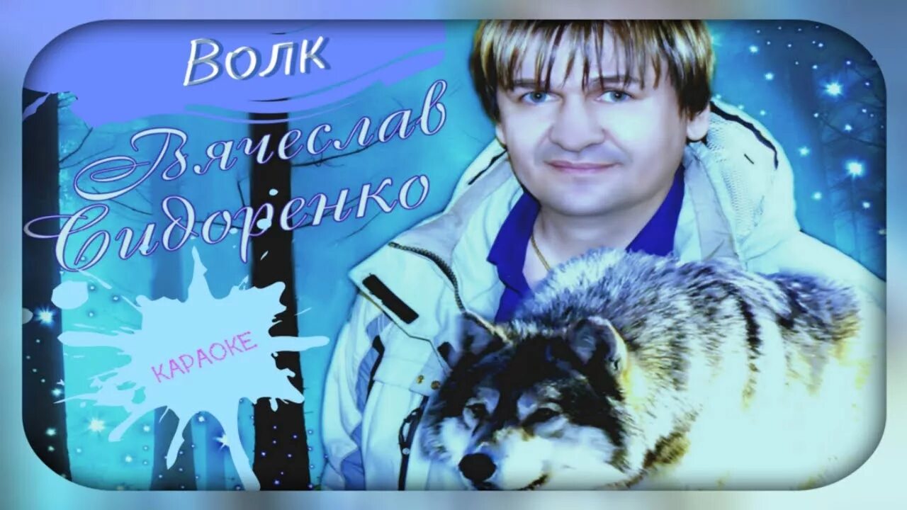 Волки песня. Сидоренко волк песня. Волк вегетарианец. Сидоренко волк песня. Волк шансон.