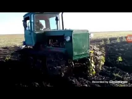 Трактор клипе