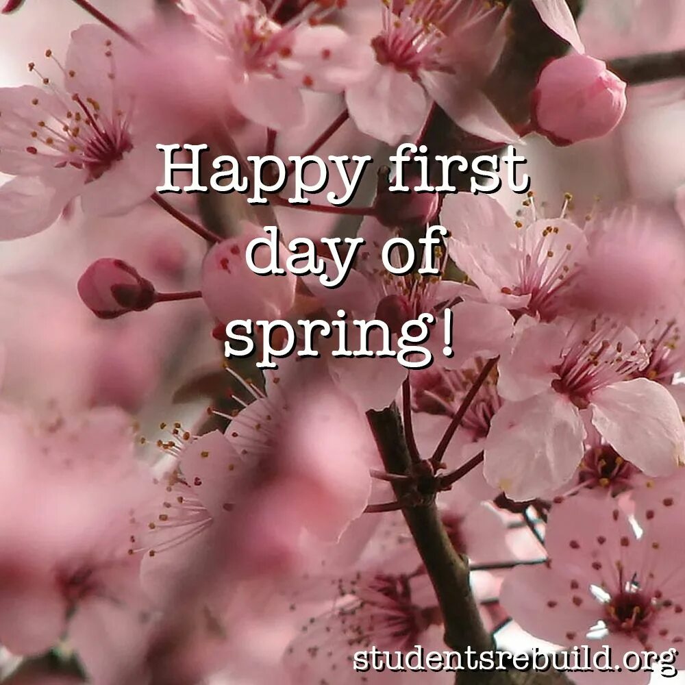 The first of march. First Day of Spring. Happy first Day of Spring. First Day of Spring картинки. Открытка Happy Spring Day.