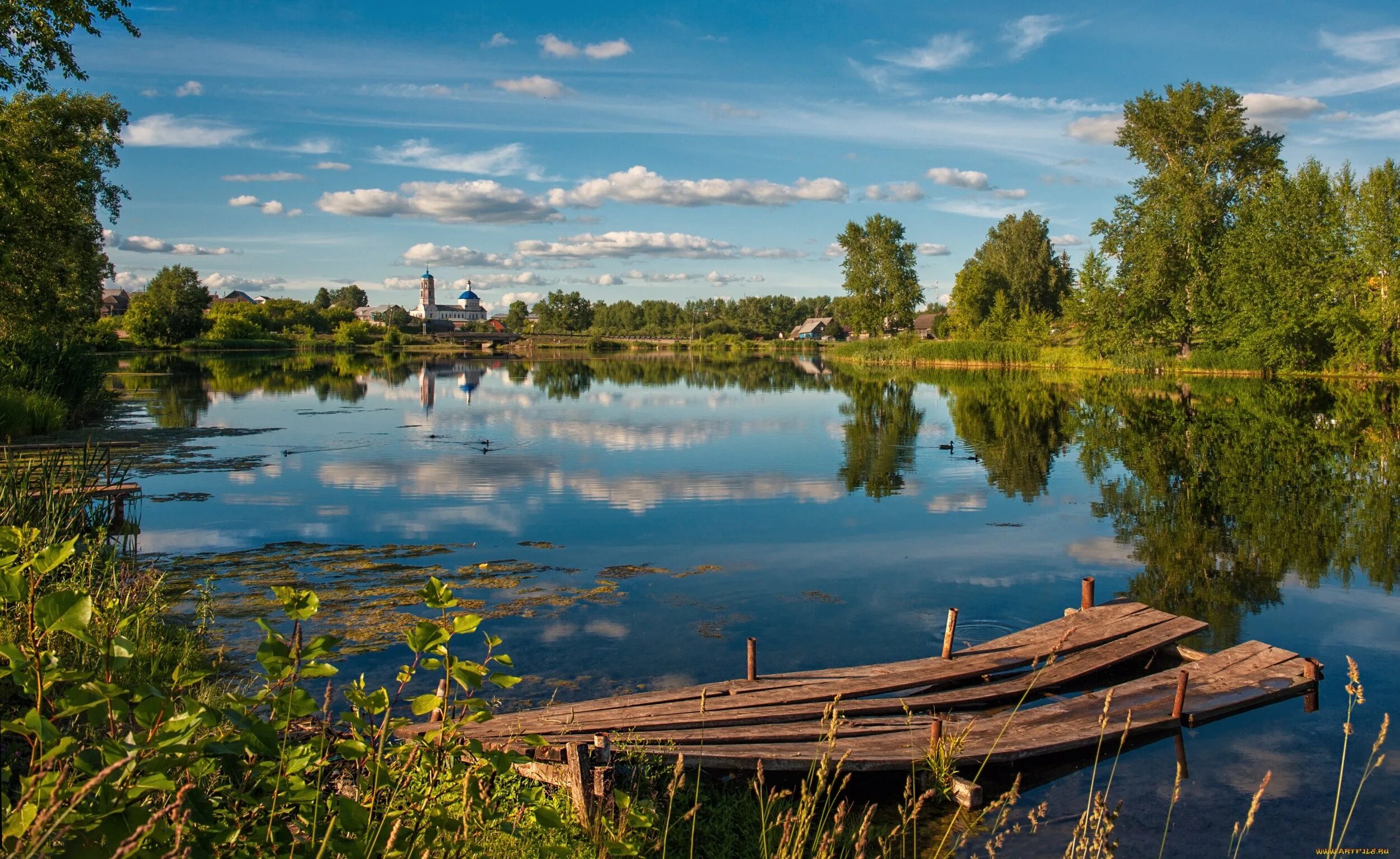 Озеро Днико. Природа деревня река. Озеро в деревне. Дерево у озера.