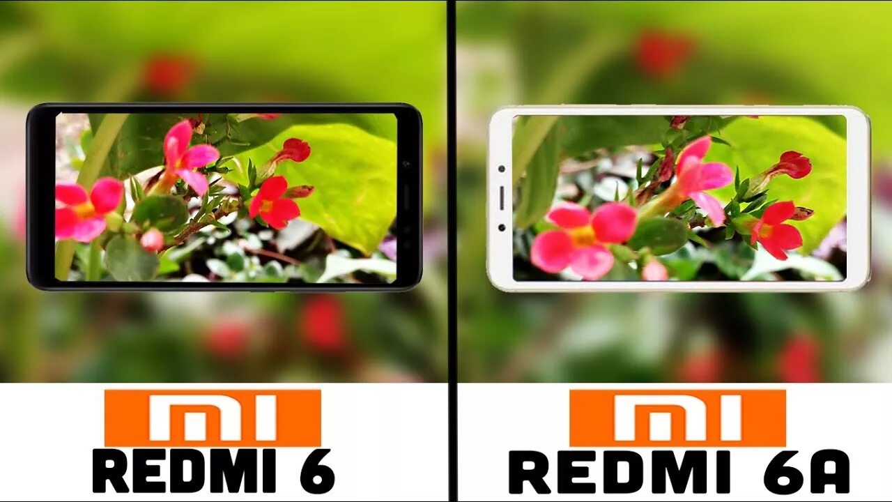 Сравнение redmi 6. Redmi 6 камера. Xiaomi 6 камер. Смартфон Xiaomi Redmi 6 камера. Redmi 6 a Camera Test.