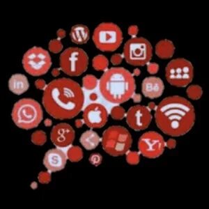 Networks plus
