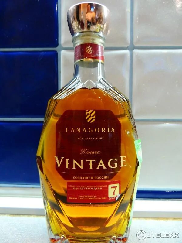 Fanagoria 5. Fanagoria 5. Fanagoria 5. Фанагория 5 лет. Fanagoria 5.