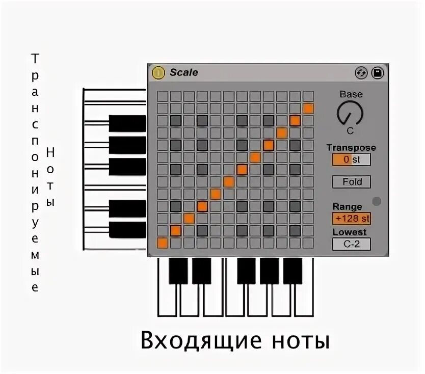 Midi файл в ноты. Схемы аккордов аблетон. scale тональность. ноты гитары в аблетон. белая ночь мелодия ноты аблетон.