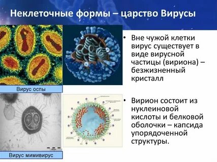 Неклеточные