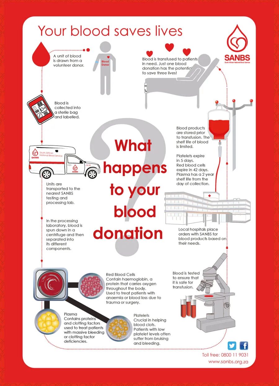Донорство крови антибиотики. What is Blood donation?. Donating Blood Rules. Safe Blood.