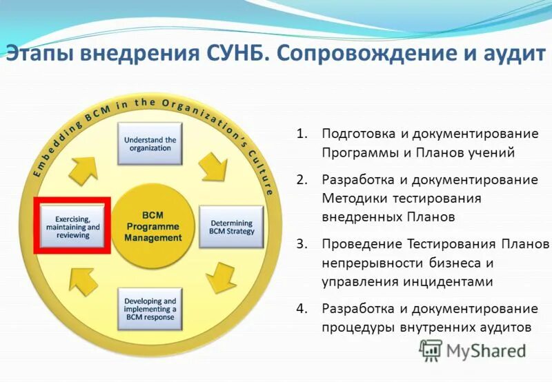 Планирование непрерывности бизнеса. Этапы программы. Планы непрерывности бизнес-процессов.. Непрерывность бизнеса схема.