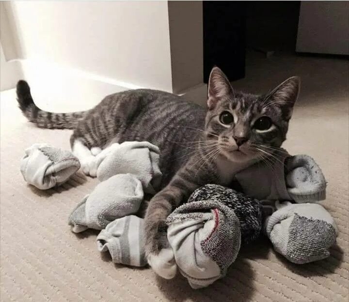 Не хочу быть довольной