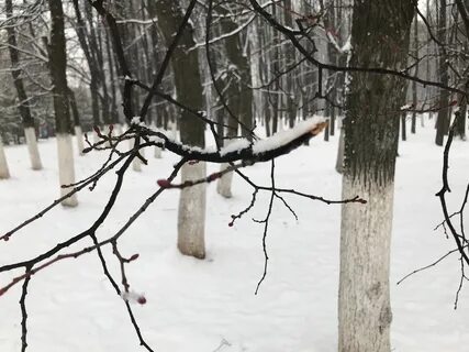 Когда похолодает в нижнем новгороде