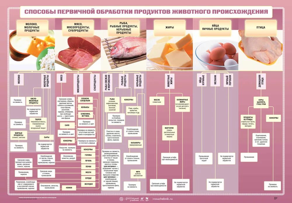 Можно ли кормящей говядину