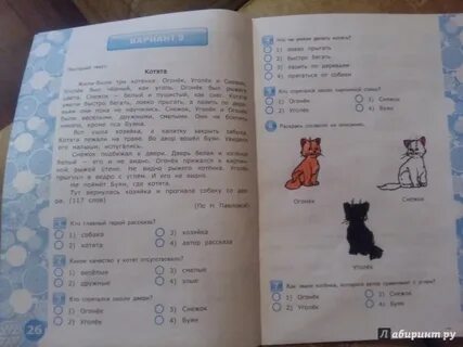 Кот 3 тест