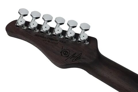Schecter nick