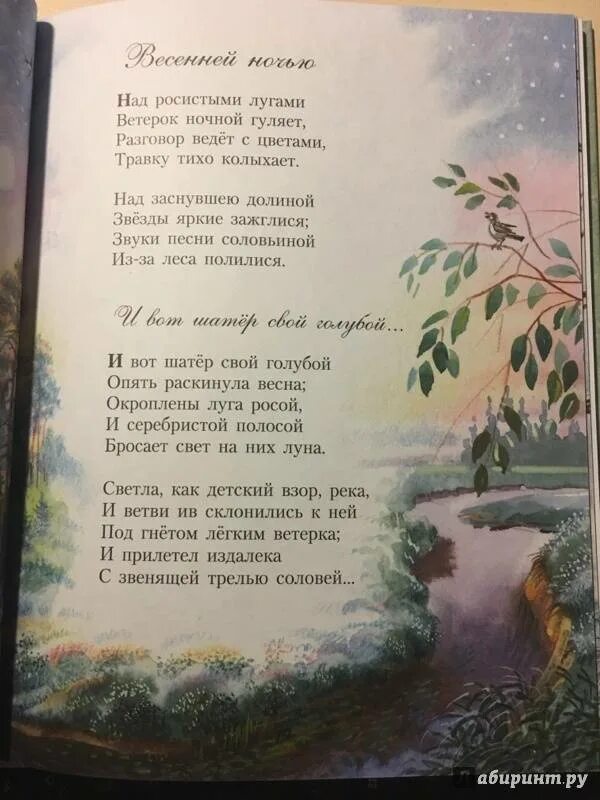 Стихотворение алексея николаевича