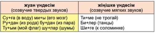 Учим казахский язык разговорный. Слова для изучения казахского языка. Изучаем казахский язык с нуля. Как преподавать казахский язык.