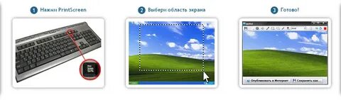 Как вырезать экран на компьютере