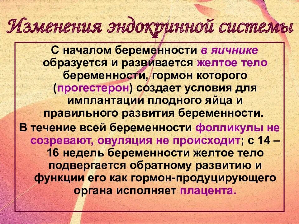 Физиологические изменения беременной