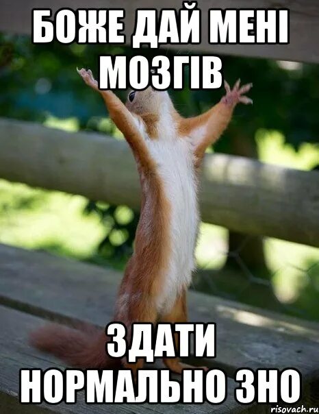 Мем о боже дай мне сил Quote . Pagan quotes, Pagan, Humor
