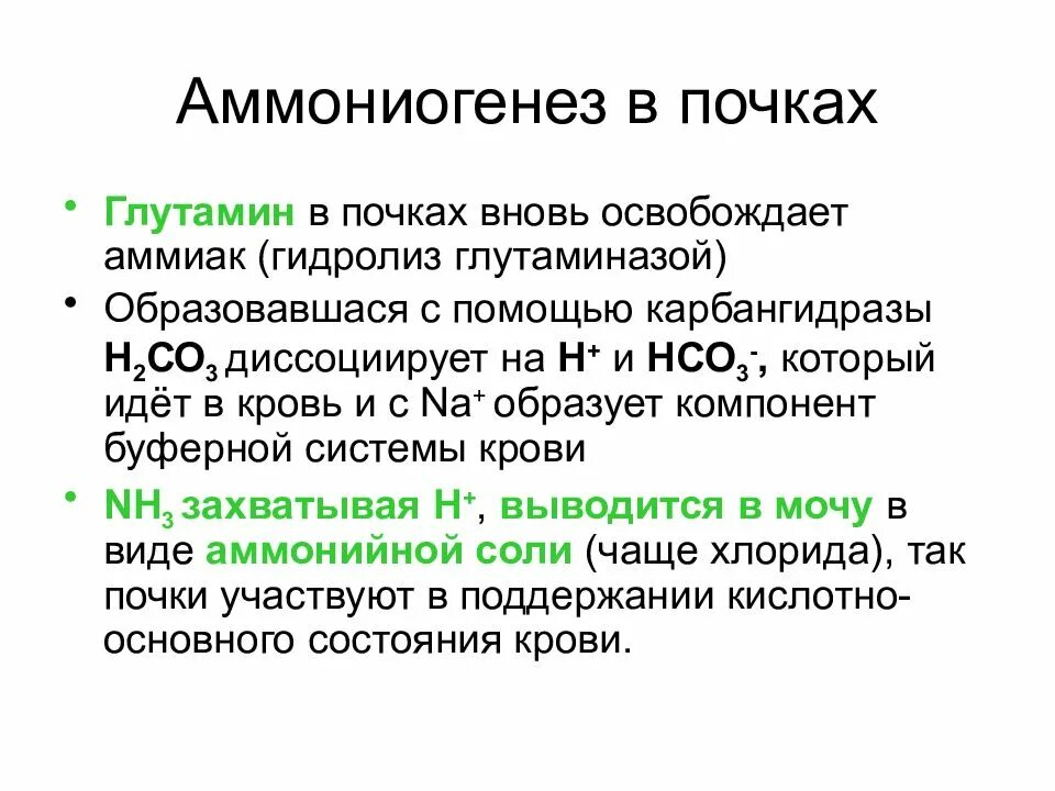 Аммониогенез. Аммониогенез в почках. ацидогенез и аммониогенез. ацидо и аммониогенеза в почках.