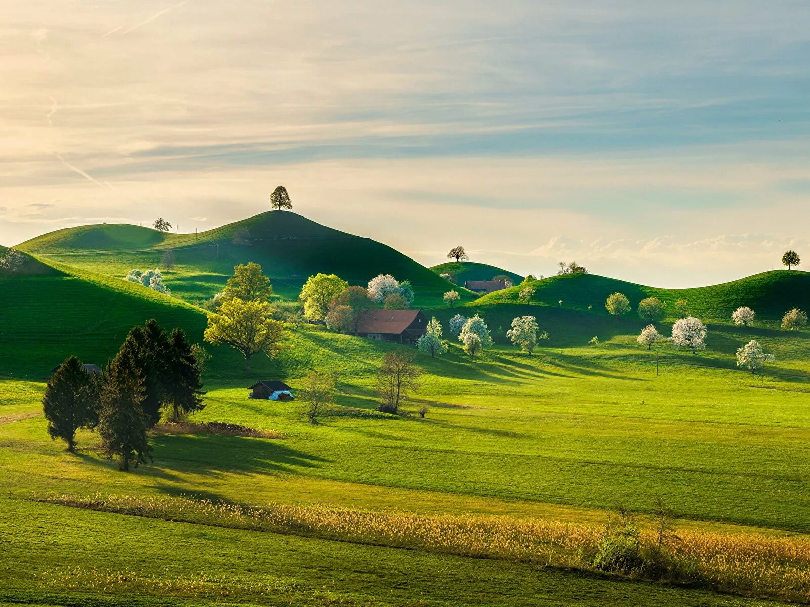 Азорские острова. Швейцария холмы. Природа холмы. Сказочное поле.