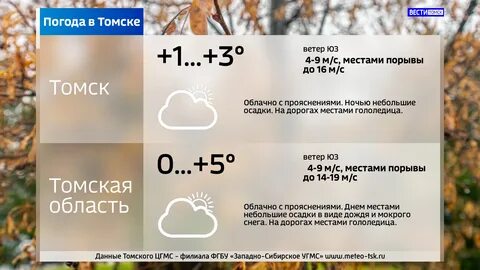 Точная погода на ветер