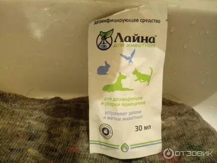 Лайна от запаха кошачьей мочи