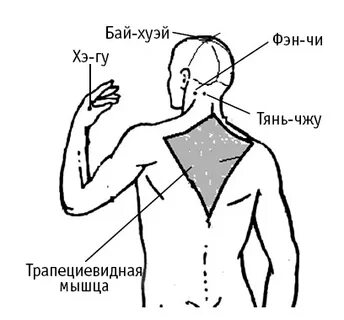 Точка бай