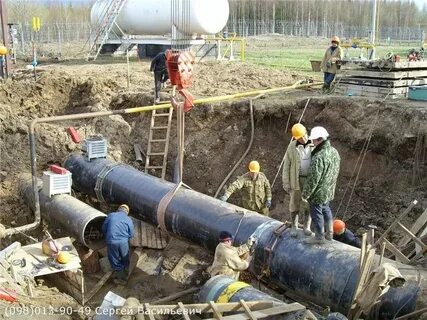 Сливовый облегченный закупорив красивее нефтепровод