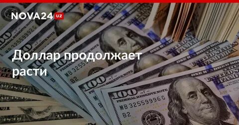 Какие доллары 2024