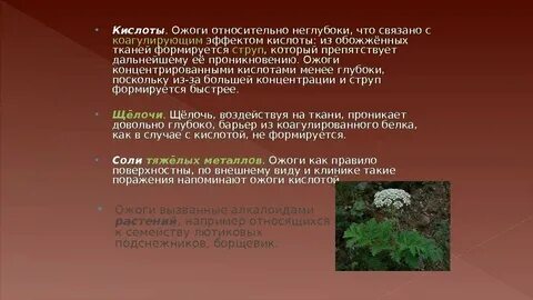 Ожоги кожи кислотами вызывают