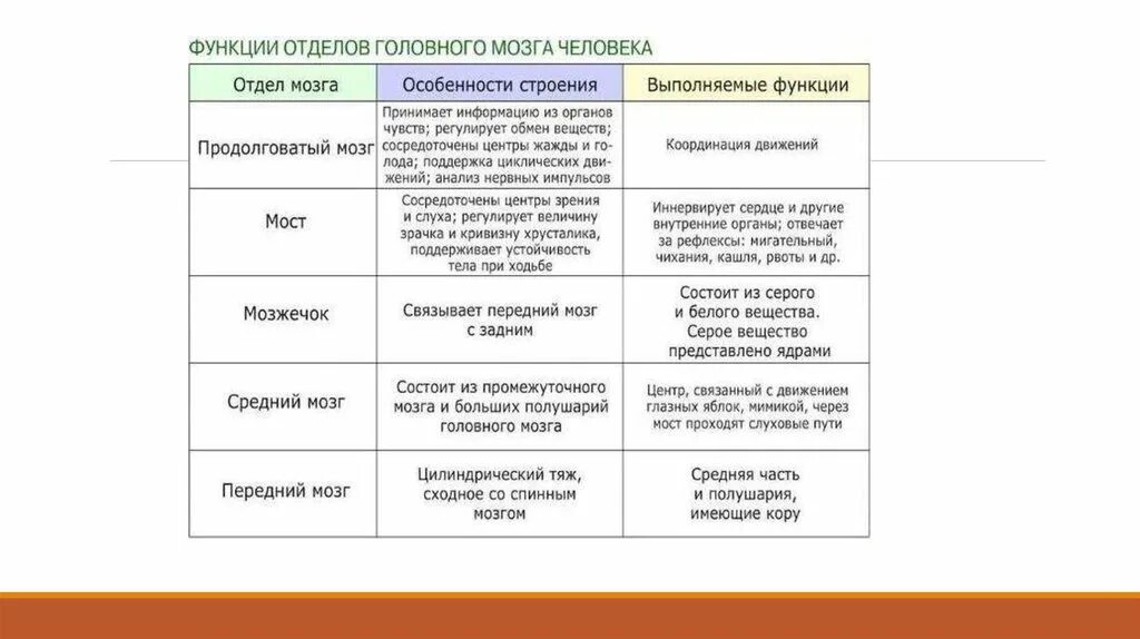 Строение и функции отделов головного мозга таблица. Биология таблица отделы головного мозга. Отделы головного мозга человека и их функции таблица 8 класс биология. Отдел головного мозга особенности строения выполняемая функция. Таблица отдел мозга особенности строения функции