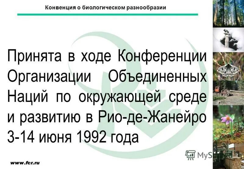 Конвенция оон о сохранении биологического разнообразия. Конвенция о биоразнообразии. Суть конвенции о биологическом разнообразии. Суть конвенции о биологическом разнообразии. Суть конвенции о биологическом разнообразии.