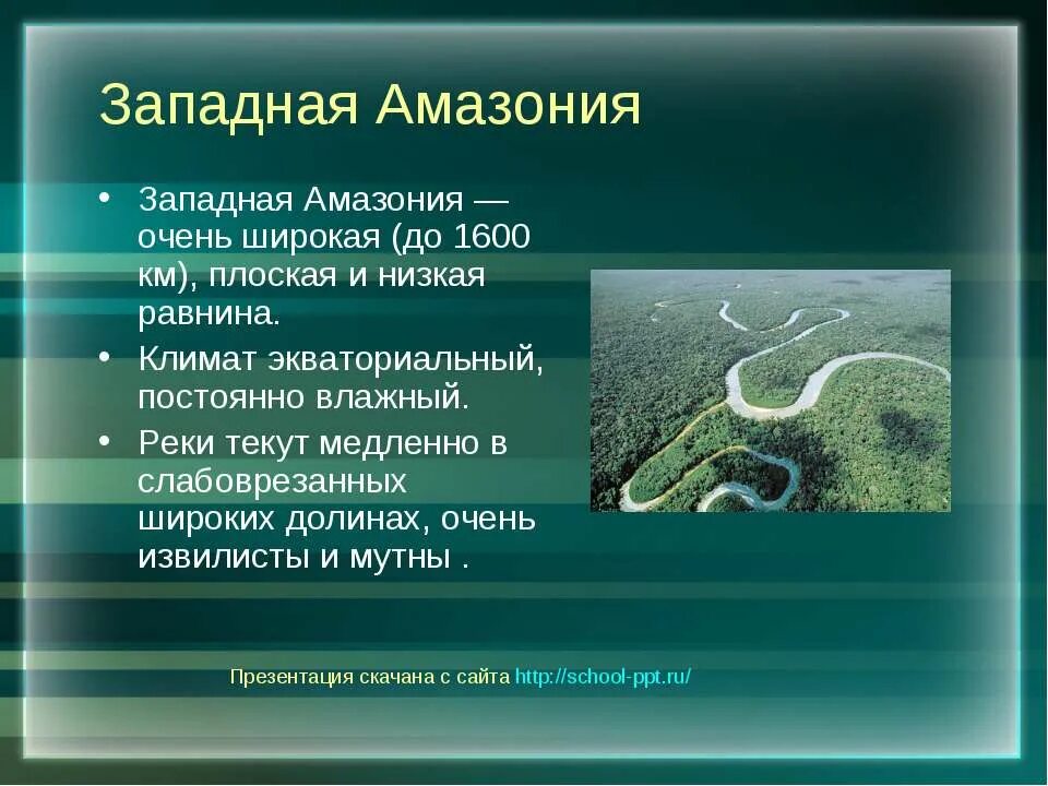 Амазонская низменность понижение рельефа в каком направлении. Амазонская низменность рельеф 5 класс. География 6 класс Амазонская низменность. Амазонская равнина описание. Равнина Амазонская низменность.