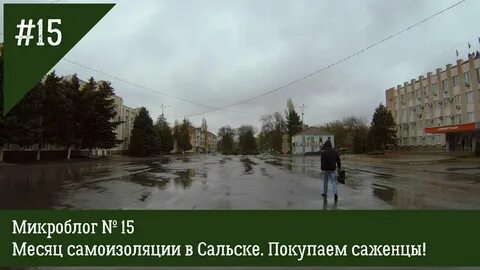 Погода в сальске на ноябрь