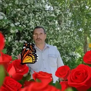 Шарафиев флюр фанович