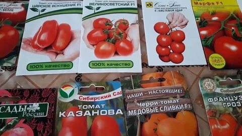 Рейтинг семян помидор