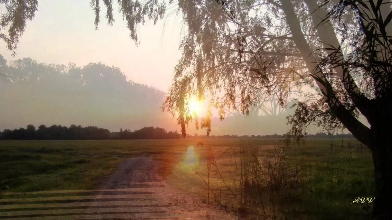 Малиновый звон. Малиновый звон на заре. Малиновый звон фото. Малиновый звон на заре поперечный.