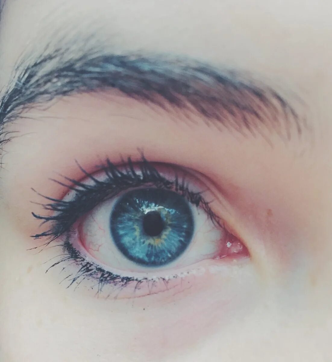 Синие глаза. Красивые голубые глаза. Красивые синие глаза. Синие глаза Эстетика.
