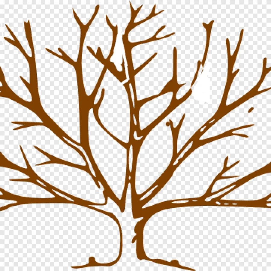 Open tree. Open tree