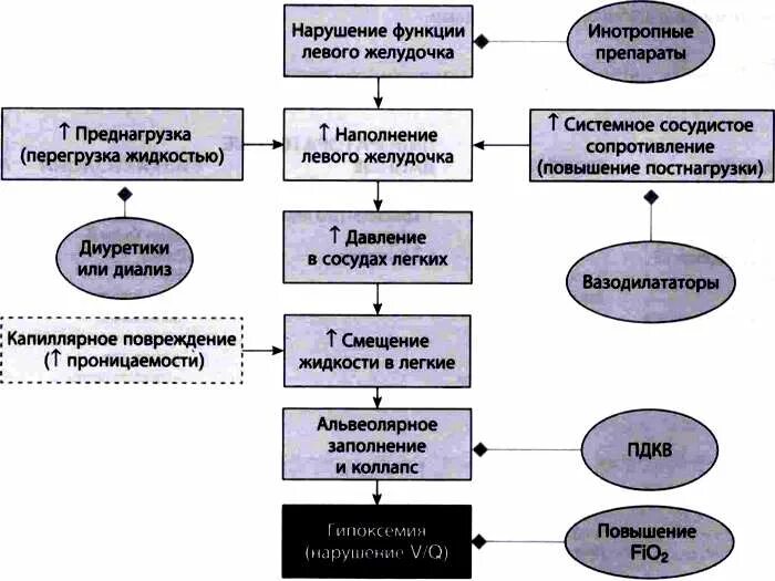 Отек легких помощь алгоритм. Алгоритм лечения токсического отека легких. Механизм развития токсического отека легких. Отек легких неотложная помощь алгоритм. Алгоритм при отек лёгкого.