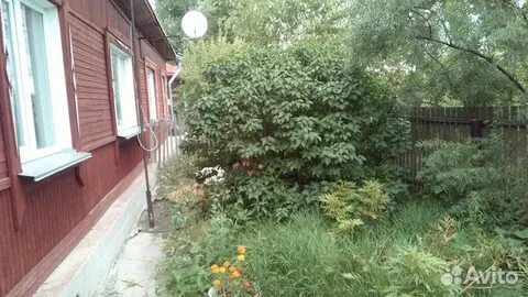 Авито коченево