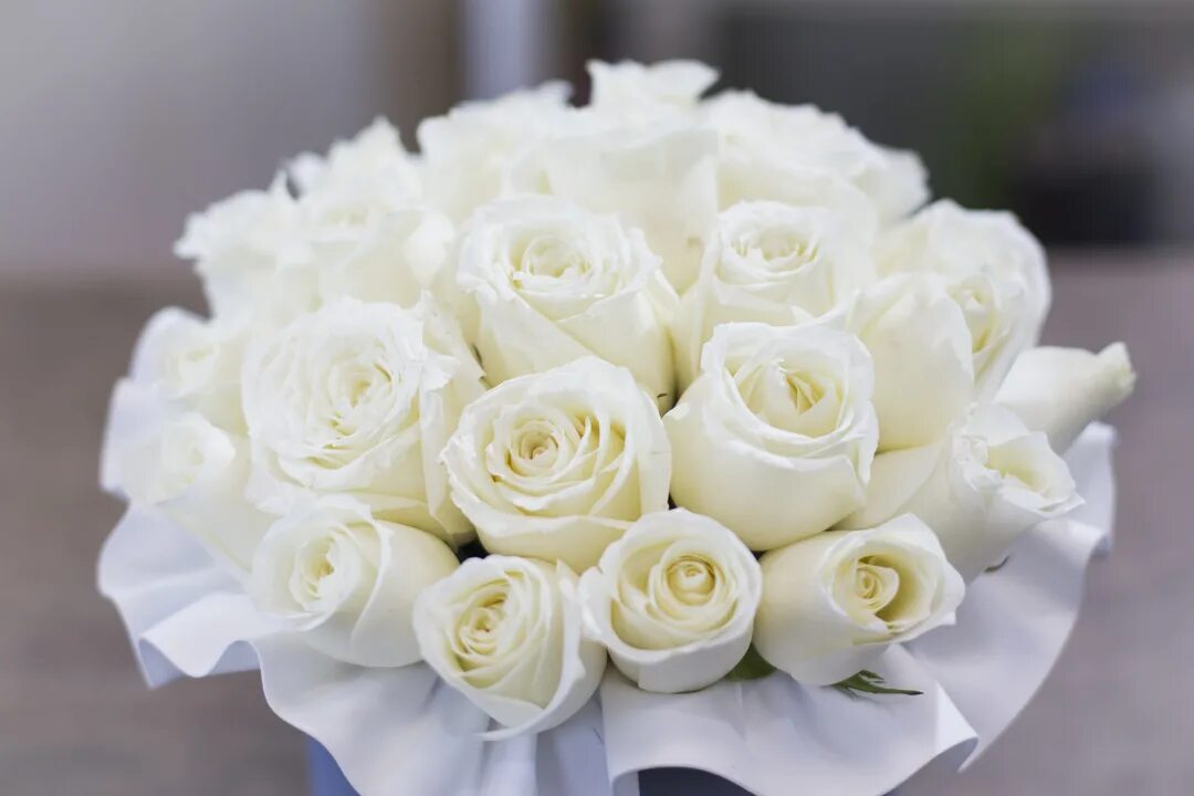 Белый тет. Белые розы. Букет белых роз. Красивый букет белых роз. Огромный букет белых роз.
