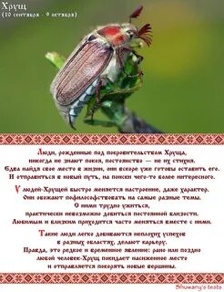Славянский гороскоп по дате животные