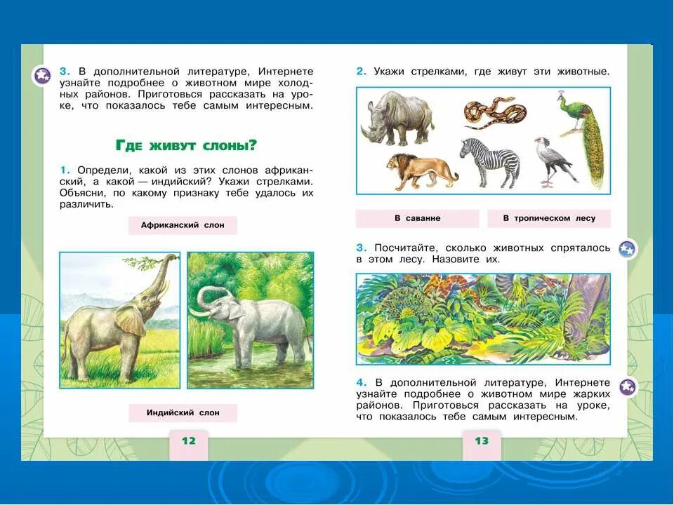 слоны живут на севере. урок окружающий мир 1 класс. где живут сёмы. дополнительная литература по окружающему миру. окружающий мир 1 класс где живут слоны учебник.