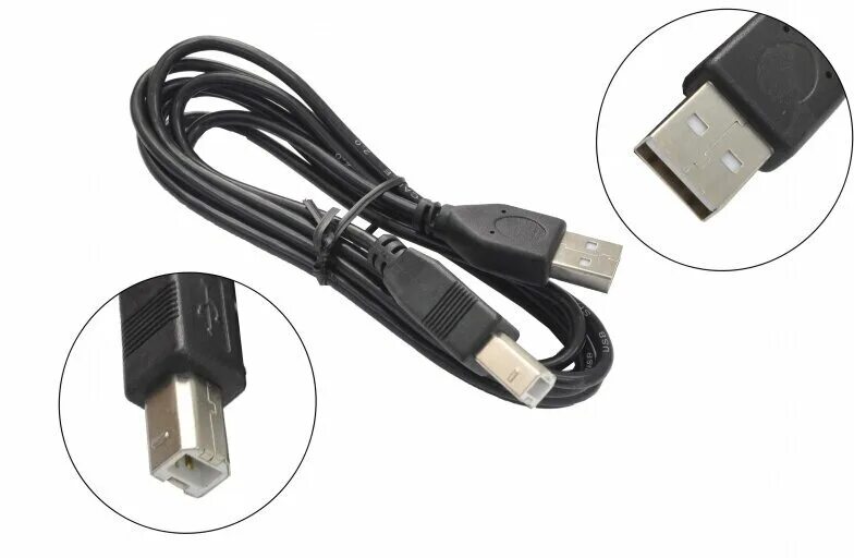 B am a bm b. кабель gembird ccf-usb2-ambm-10. двойной y-кабель 2x usb 2am - usb af. кабель gembird ccf-usb2-ambm-6. кабель usb 2.