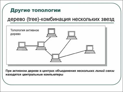 Дерево сети