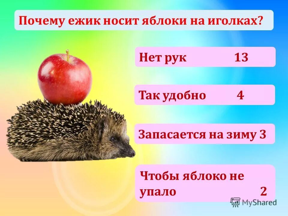 Зачем ежу яблоки проект. Почему я еж. Вышел ёжик из тумана выпил водки. Колючий ежик. Почему я еж.
