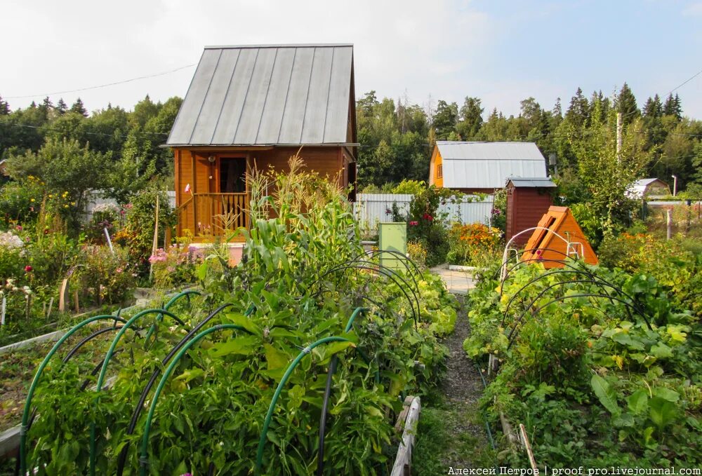 Дача в России. Простые дачные участки. На даче. Русские дачи. Купить дачу видео