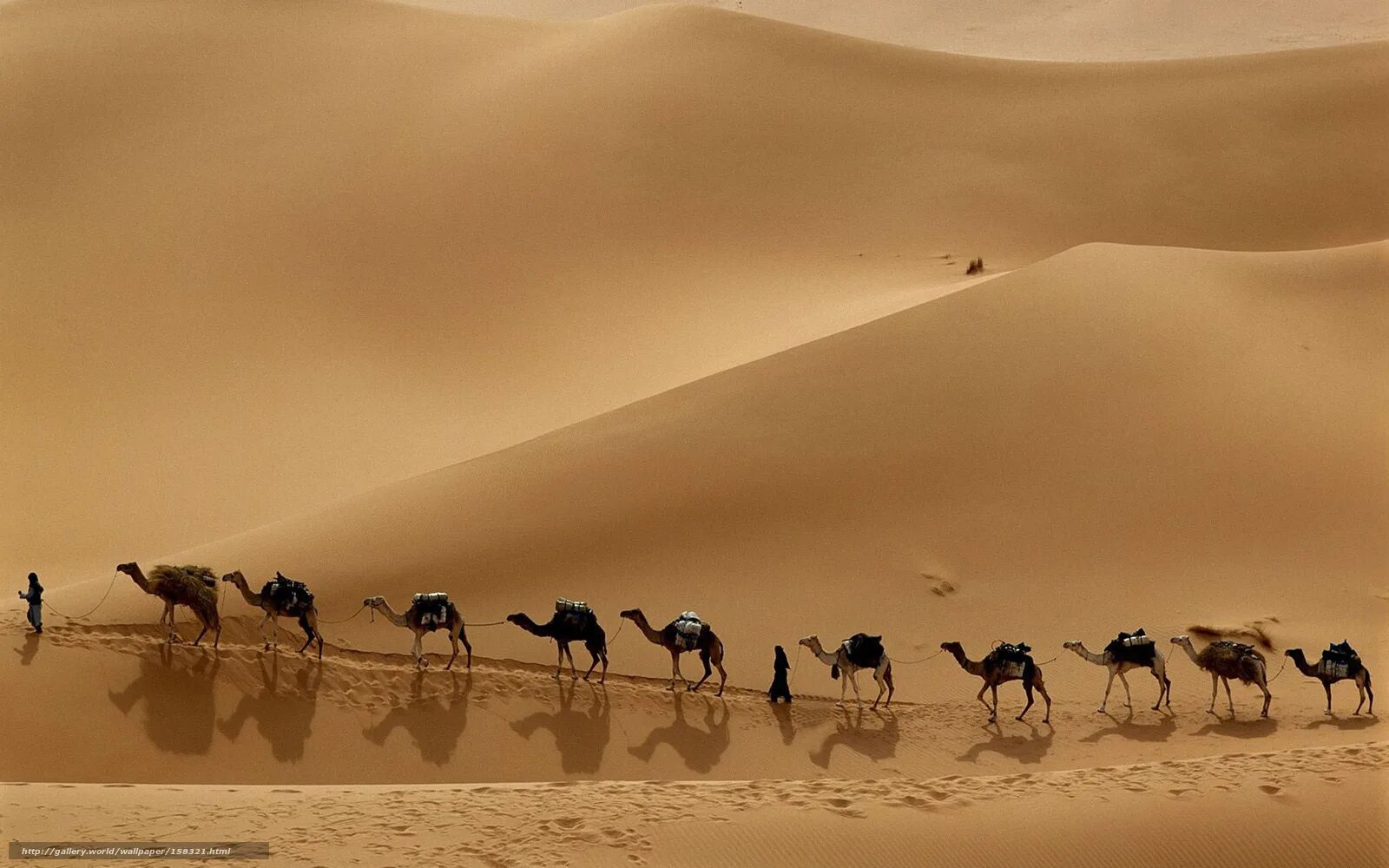 Занятия людей в пустыне. Великий шелковый путь Караван. Верблюд Караван шелковый путь. Абдул Кассим Исмаил — Великий Визирь. Верблюды пустыня шелковый путь.